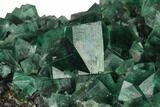 Fluorite Crystal Cluster - Rogerley Mine #143077-2